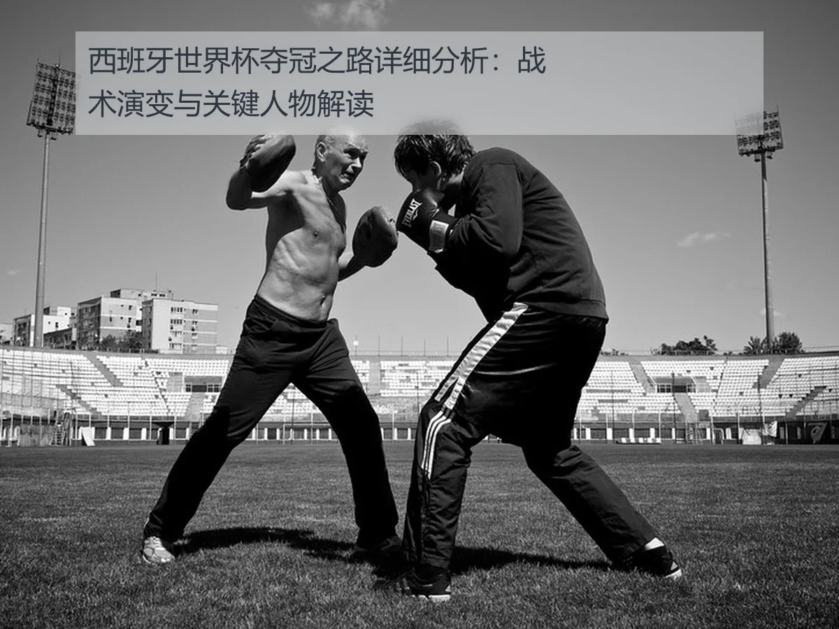 西班牙世界杯夺冠之路详细分析:战术演变与关键人物解读